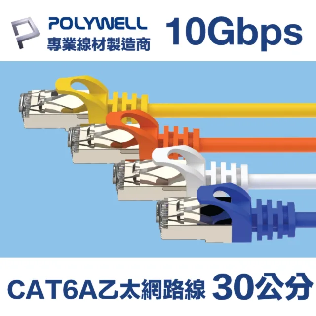 【POLYWELL】CAT6A 高速乙太網路線 S/FTP 10Gbps 30公分(適合2.5G/5G/10G網卡 網路交換器 NAS伺服器)