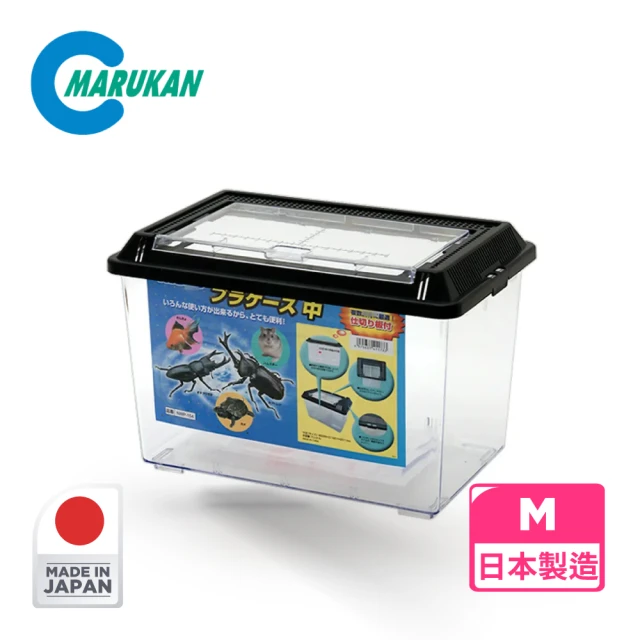 【Marukan】日式玩色甲蟲盒 Medium(日本製造 甲蟲 鍬型蟲 獨角仙 昆蟲 小動物)