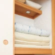 【COGIT】日本製 BIO境內版 衣櫃櫥櫃 除臭防霉盒(4盒)