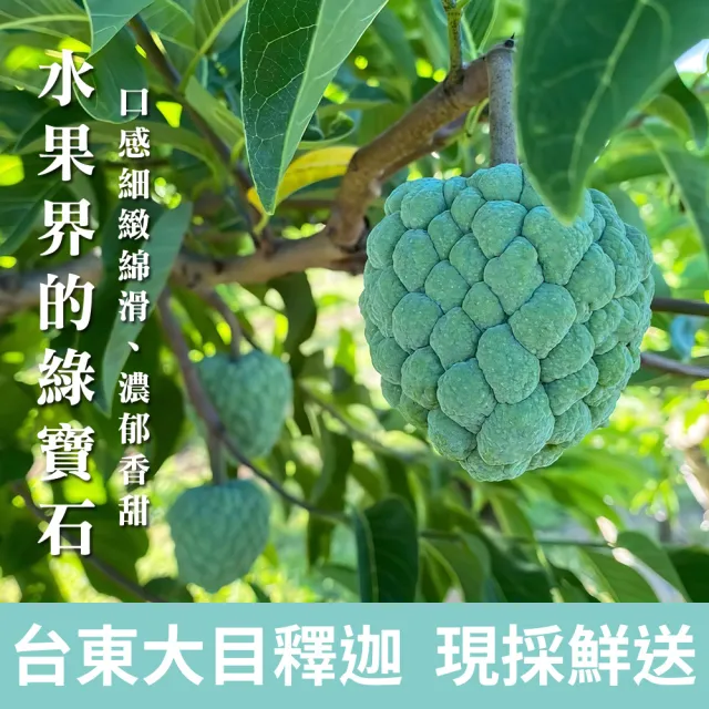 【金好迦】嚴選台東大目釋迦 A級果 10斤x2箱(10-11顆/箱)
