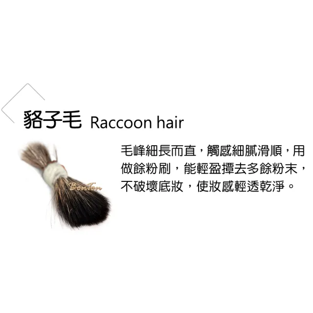 【BonTon】墨黑系列 小扇形餘粉刷 LBLR01 貉子毛