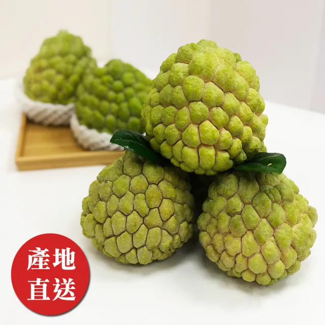 【金好迦】嚴選台東大目釋迦 大粒果 6斤x2箱(5-6顆/箱)