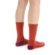 【Icebreaker】女 中筒薄毛圈健行襪+(登山襪/健行襪/戶外機能襪/美麗諾羊毛襪)