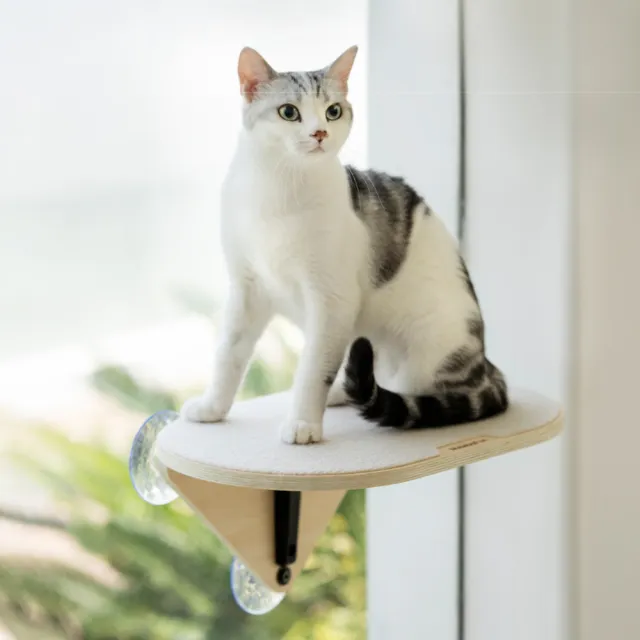 【MewooFun】免打孔吸盤玻璃牆壁貓爬架-躺台款