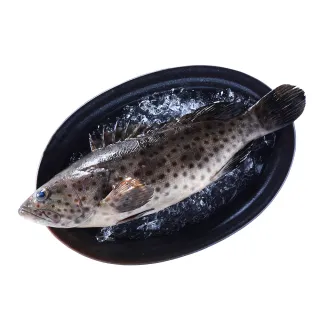 【頤珍鮮物】任選999出貨-時令黑斑魚(250g/盒)