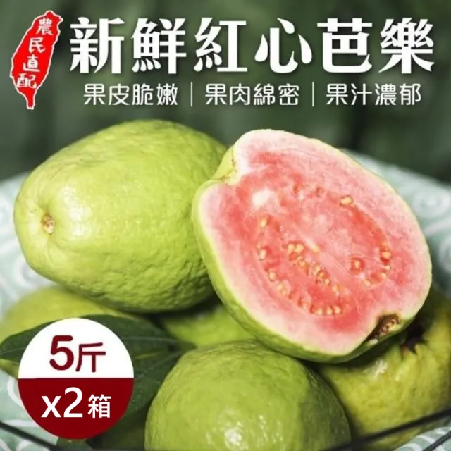 【果農直配】嘉義嚴選紅心芭樂(5斤/箱_共2箱)
