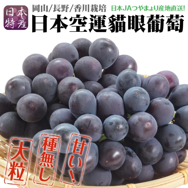 【WANG 蔬果】日本空運貓眼葡萄8-9串x1箱(約5kg/箱_原裝箱)