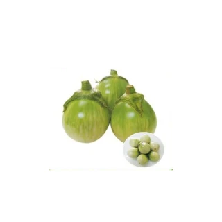 【蔬菜工坊】G30.玉玲瓏圓茄種子.(泰國茄子)