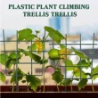 【Planter】5個裝園林塑膠植物支撐架(爬藤支架 園藝工具 植物支撐架 爬藤支架 園藝工具 月季支架)