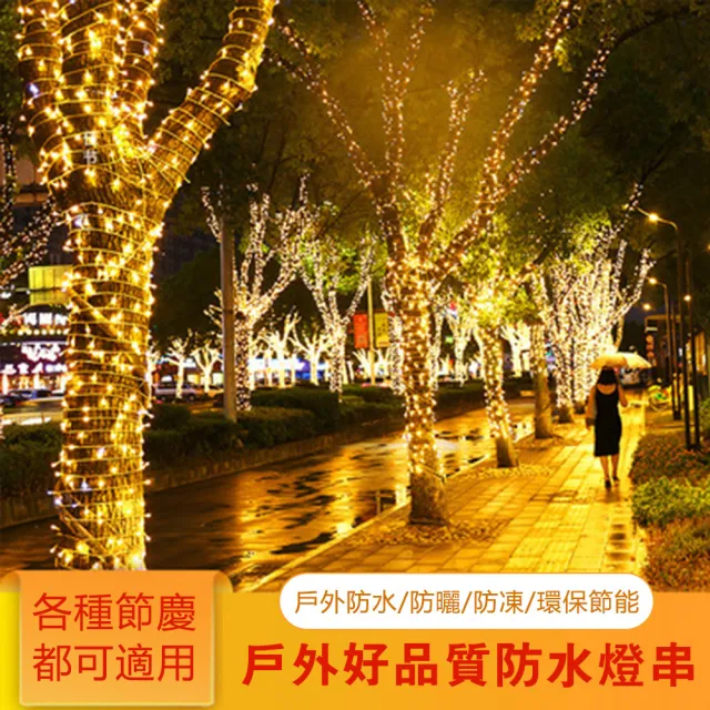 【PKS】戶外防水滿天星LED燈串組30米300燈(裝飾燈 節慶 聖誕節 氛圍燈)