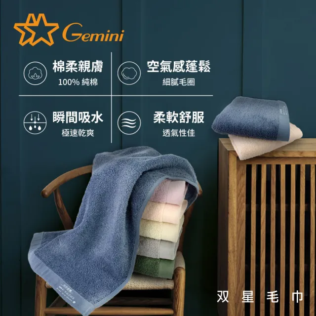 【Gemini 雙星】官方直營 100%純棉飯店毛巾6入(自帶掛繩)-多色任選