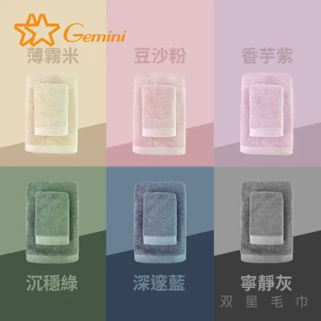 【Gemini 雙星】100%純棉飯店毛巾6入(自帶掛繩)-多色任選