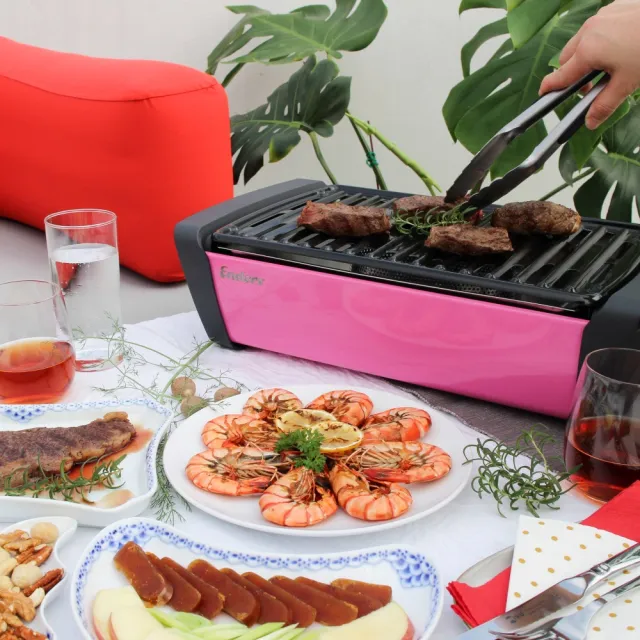 【Enders 恩德斯】桌面式木炭烤肉爐 極光/粉紅 搪瓷烤盤+收納袋組合(德國烤肉爐組合優惠)