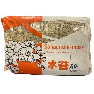 【花公主】多肉植物專用石2L