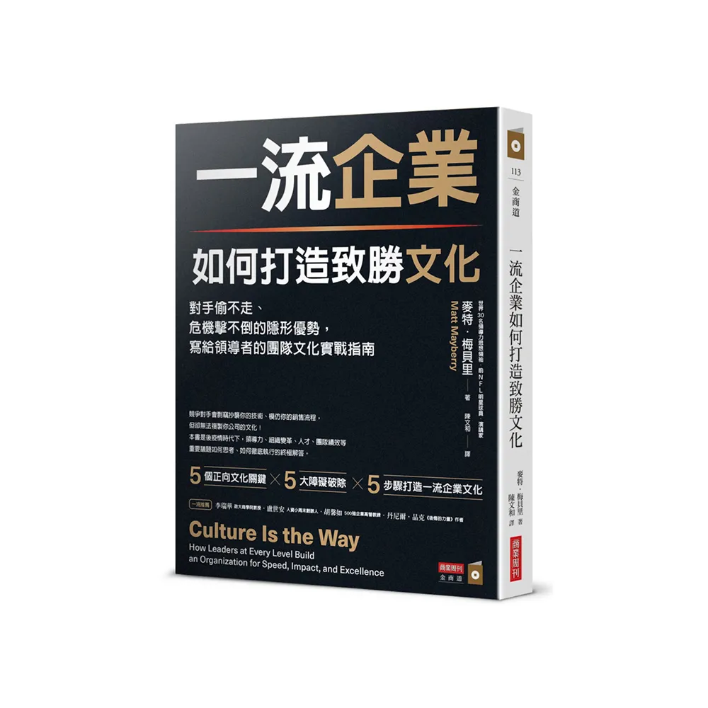 一流企業如何打造致勝文化：對手偷不走、危機擊不倒的隱形優勢 寫給領導者的團隊文化實戰指南