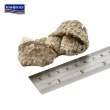 【FISH4DOGS 海洋之星】潔牙魚皮點心-結骨 100G*2入(寵物零食 狗零食 清潔牙齒)