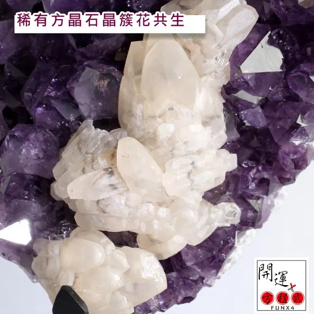 【開運方程式】紫晶簇紫晶花樹滿方解石共生(AGU580紫水晶l紫晶鎮l紫晶洞l)
