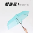【雨傘王】BigRed極度輕 95g輕量手開折傘(終身免費維修)
