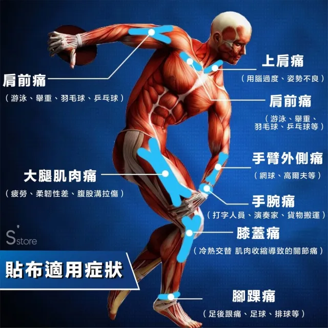 【S-SportPlus+】肌肉貼布 5mx5cm無盒裝6入組 肌貼繃帶(運動貼布/貼布/彈性貼布)