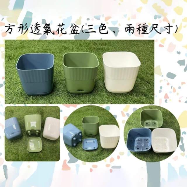 【育材】方形透氣花盆組合 白/藍/綠(大/十入組)