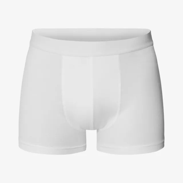 【Bread & Boxers】現貨 兩件組｜Boxer Brief Modal 莫代爾纖維男用四角內褲