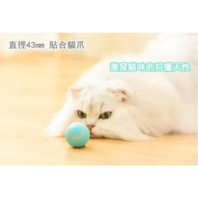 【寵倍彼】自動逗貓球 智能滾滾球 貓咪玩具 逗貓球 滾滾球 兩色可選(逗貓)