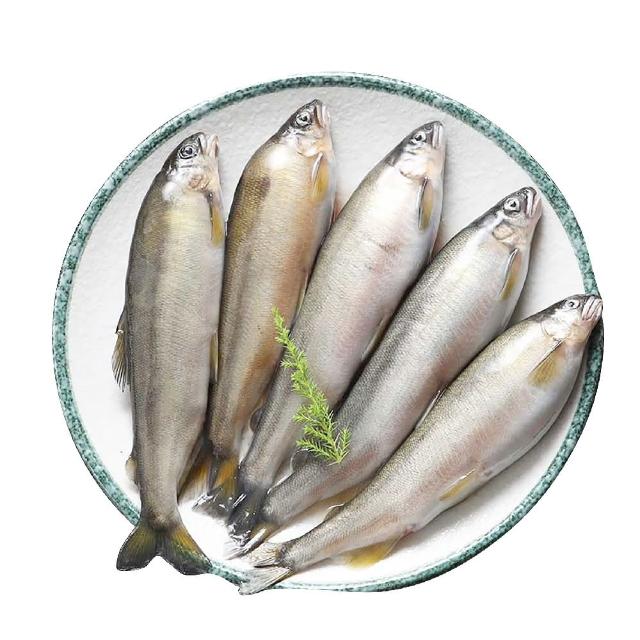 【佐佐鮮】爆卵母香魚5包組(每包5尾450g共25尾 居酒屋 中秋燒烤肉)