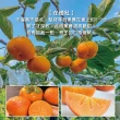 【初品果】達觀部落9A甜柿禮盒6顆x1盒(每顆350g+-10%_年節禮盒_產地直送)