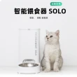 SOLO 寵物自動餵食器 白色新款(平行輸入 國際板 APP連結 飼料機 餵食器)