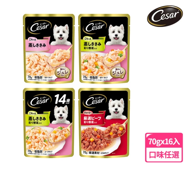 Cesar 西莎 蒸鮮包 70g*16入 寵物/狗罐頭/狗食