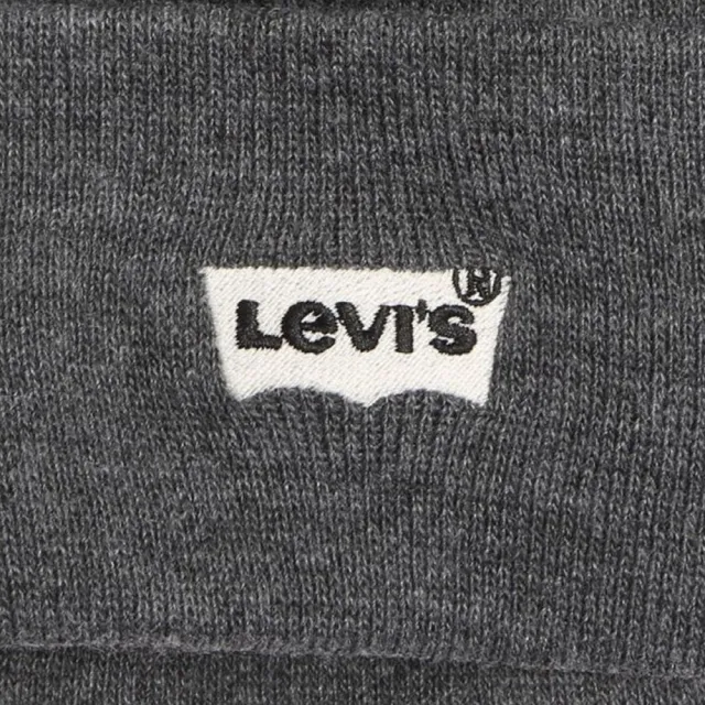 【LEVIS 官方旗艦】男女同款 毛帽  / 刺繡Logo 灰 人氣新品 38022-0003
