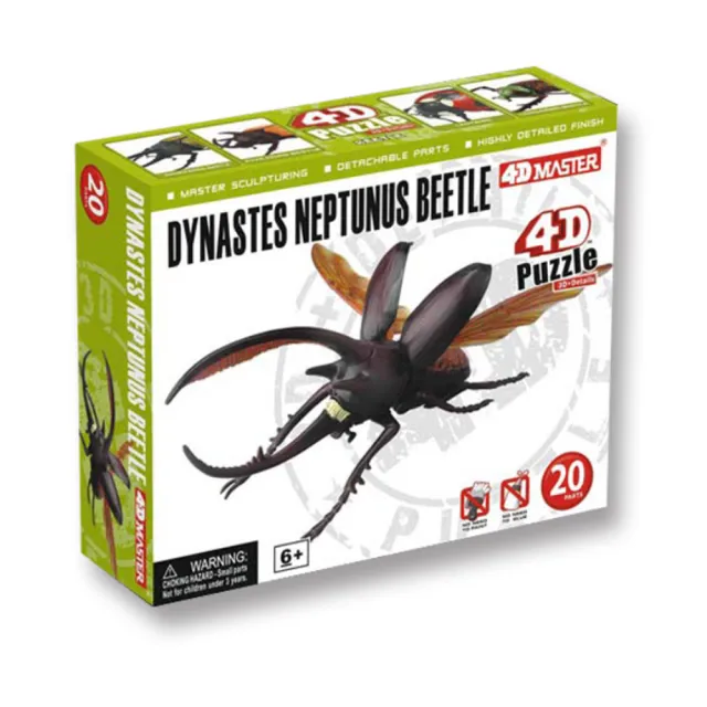 【4D  MASTER】甲蟲系列-海神大兜蟲(DYNASTES NEPTUNUS BEETLE)