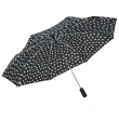 【rainstory】小雛菊抗UV雙人自動傘