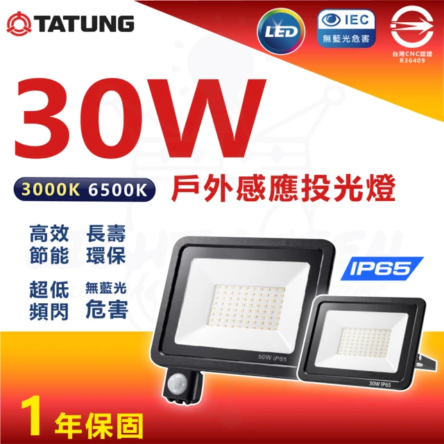 TATUNG 大同 LED 紅外線 感應戶外投光燈 戶外投光燈 投射燈 30W(防水IP65)