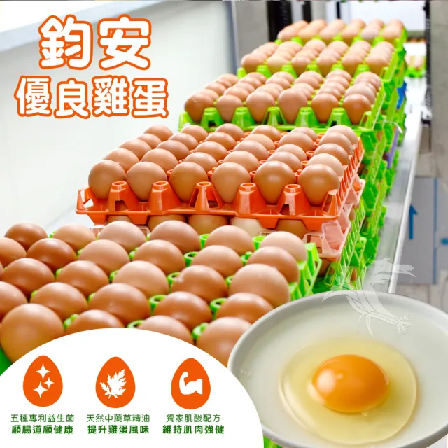 【禾鴻x鈞安牧場】專利配方鎂力機能蛋(白蛋8顆x3盒x2箱 共48顆)
