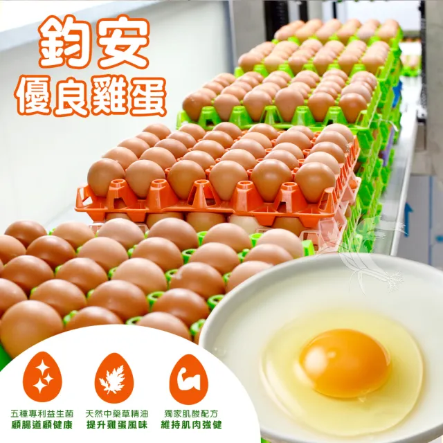 【禾鴻x鈞安牧場】專利配方鎂力機能蛋(紅殼蛋8顆x3盒x2箱 共48顆)