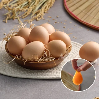 【禾鴻x鈞安牧場】專利配方鎂力機能蛋(土雞蛋8顆x3盒x2箱 共48顆)