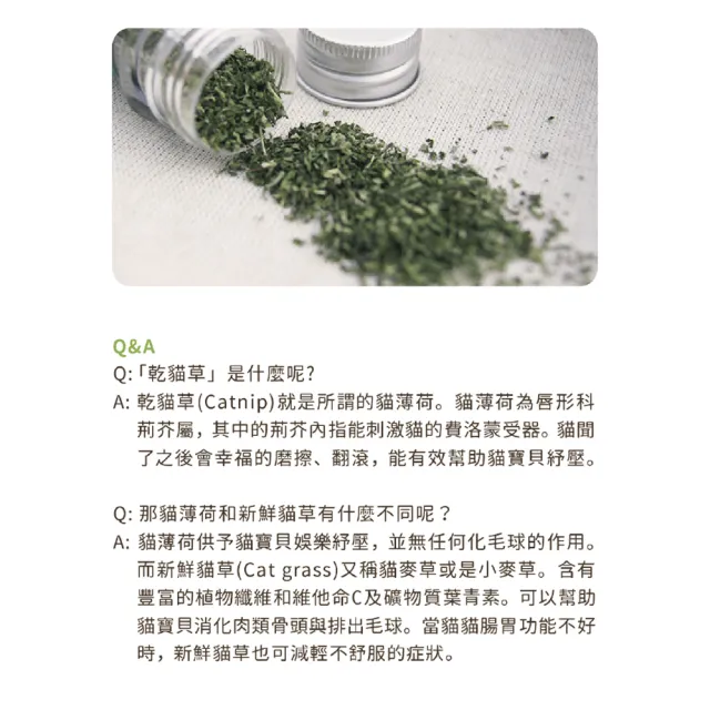 【汪喵星球】汪喵紓壓咬咬系列－頂級貓薄荷棒棒(犬貓紓壓)