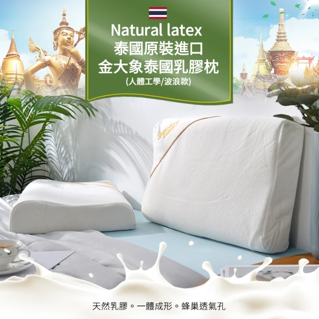 Natural latex 泰國原裝進口金大象泰國乳膠枕1入(人體工學/波浪款/Q彈支撐/釋壓舒眠)