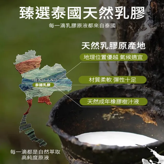 【Natural latex】買1送1 泰國原裝進口金大象泰國乳膠枕(人體工學枕/乳膠枕/釋壓枕/枕頭)