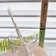 【SunnyGrasses】綠禾-超細絲竹粉牙刷