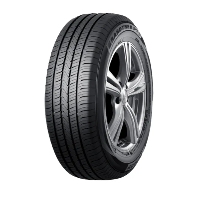 【DUNLOP 登祿普】輪胎 登祿普 PT5-2255518吋_四入組_225/55/18(車麗屋)