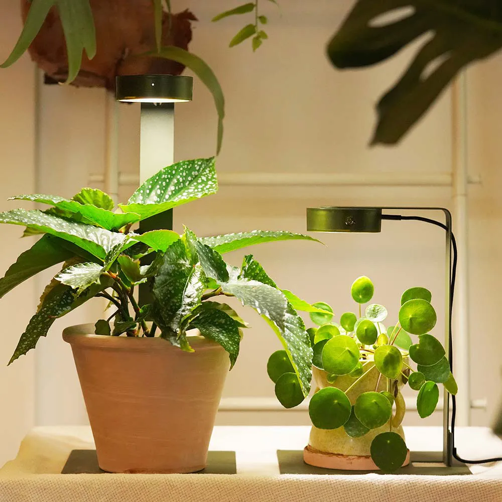 【ONF 光之間】MIST O 植霧光-桌上型隨吸植物燈套組(雙燈雙架、綠)