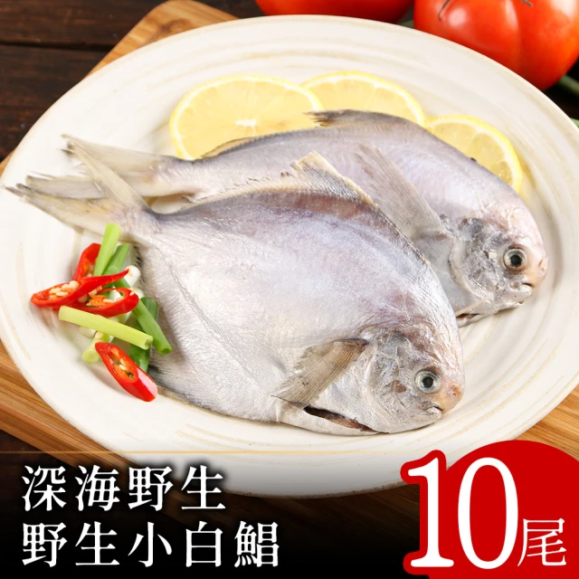 北村漁家 深海野生活凍小白鯧10尾(100-150g/尾)品