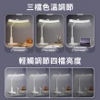 【YUNMI】弧形可調光護眼學生檯燈 LED閱讀台燈 智能觸控小夜燈 桌燈 USB充插兩用(智能定時休眠)