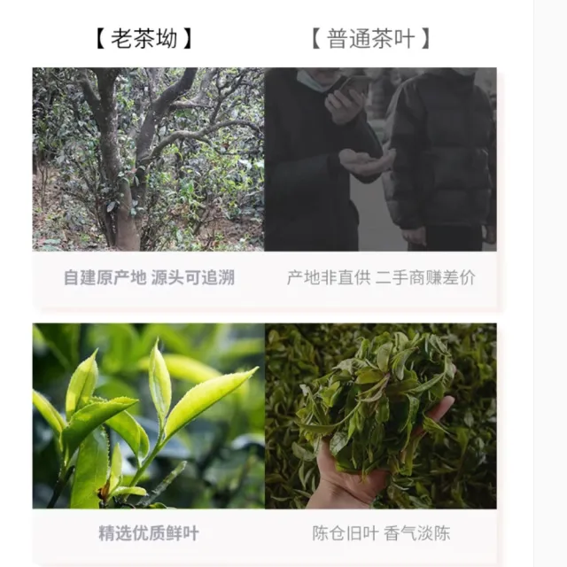 【盛嘉源】歲月知味 娜罕 2016年(普洱茶   生茶 357g)