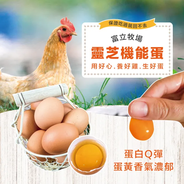 【初品果】x富立牧場靈芝機能雞蛋30顆x1箱(白蛋_48小時內新鮮生產雞蛋_多項檢驗合格)