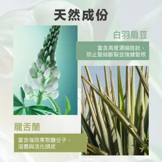 【YVES Rocher 伊夫黎雪】活力健髮頭皮豐盈組(洗髮露300ml+頭皮精華75ml)