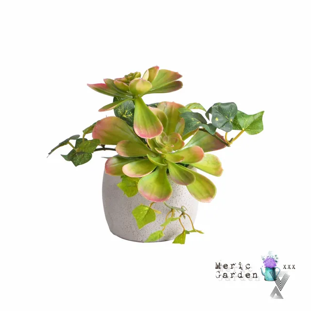 【Meric Garden】高仿真多肉植物療癒手工水泥小盆栽_石蓮