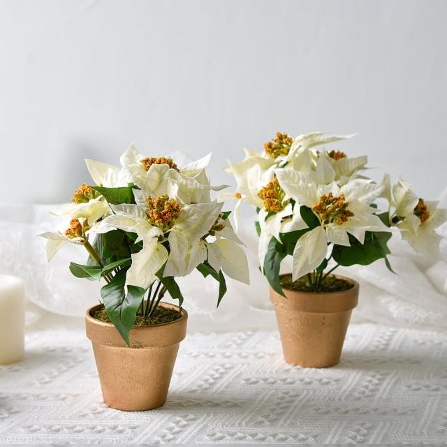 【Meric Garden】高仿真台灣手工限定雪白聖誕紅小盆栽(2入一組)